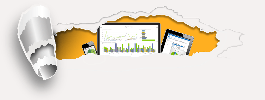 Dynamics GP Capabilities