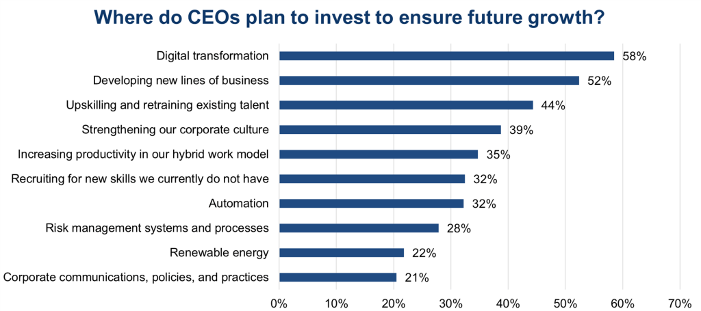 CEO-invest-future-growth